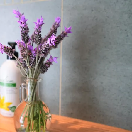 Apartment Sunny Canteras Las Palmas de Gran Canaria